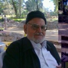 Ahmed ElShall