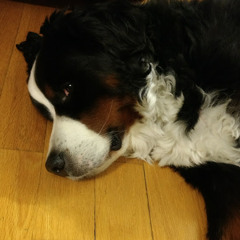 Beef Weef (feces demon)