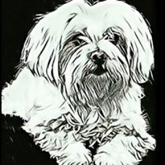 Miguel Angel Gonzalez