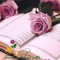 صفاء المحبه