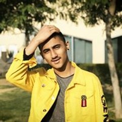 DyLaN