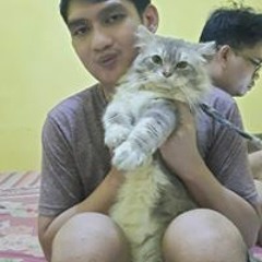 Mery Armi