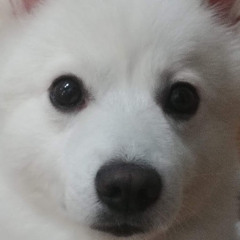 ᄋᄋ