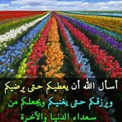 Dalia Mohamed