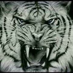 Baksogondrong