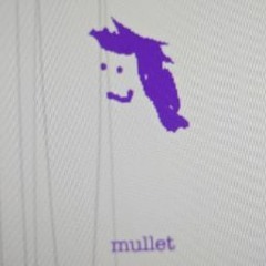 MulletDGAF