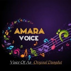 Amara Voice