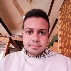 عاصم التركي