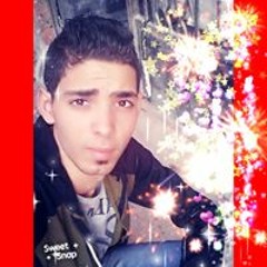 أحمد محمد ابو حسانين