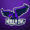 Nebula Owl
