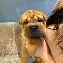 황준서