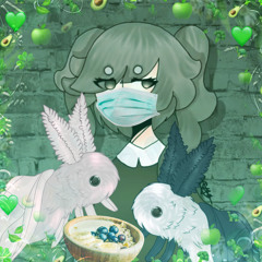 ·Koshi Miffs࿐