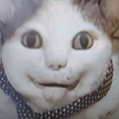 Александр Мальков