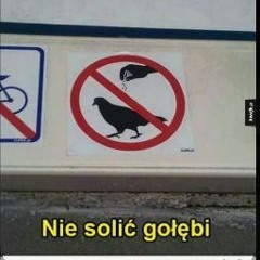 skalnegrzyby