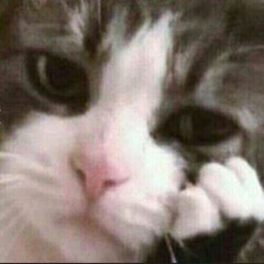 User 380938186