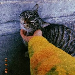 Елизавета Толкачева