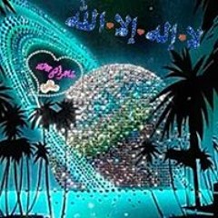 sayed salama