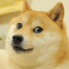 The awesome Doge