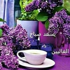 Nora Omar