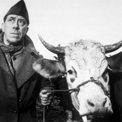 Marguerite Pawlikowski