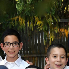 Levi and Yisroel shemtov