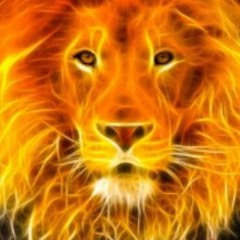 LionFire