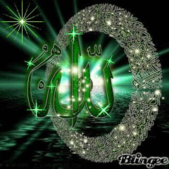 هشام السعيد