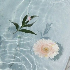 blue jasmine