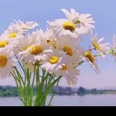 Nguyễn Duy Đức