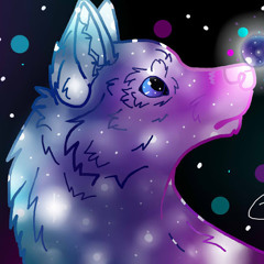 Immy Wolf