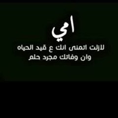 Hamdy A Hamdy
