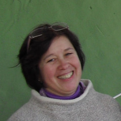 Viviane Nobre Módena