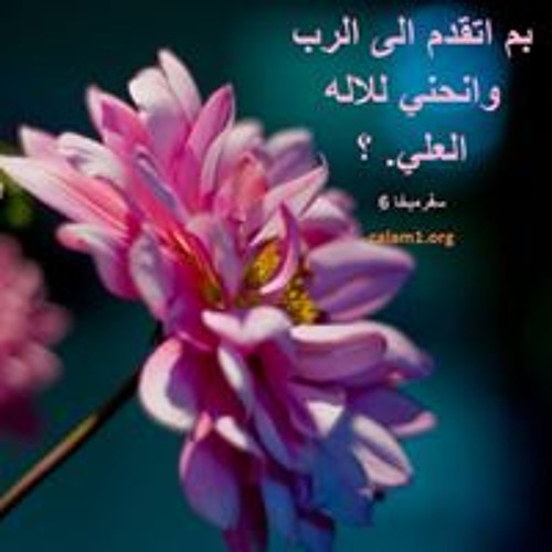 Wafaa Mireb Kassabri’s avatar