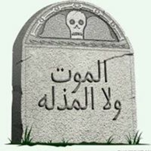 عبدالعزيز النبهان’s avatar