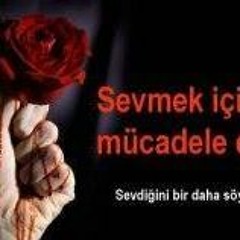 Ozgur Classic