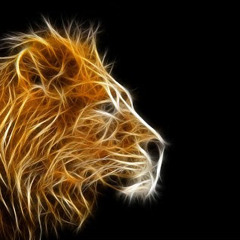 Nyan Phone Zarni Zachary