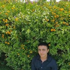السيد الهواري