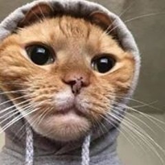mateoelbest