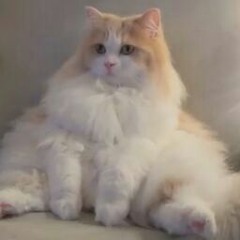 User 741237860