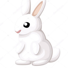 White Rabbit