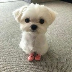 사방에 적일땐 오방을 택하라