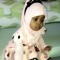 Awoowe Ashkir