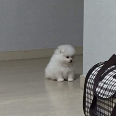 욲희