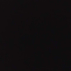 dj rani