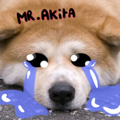 Mr. Akitaman