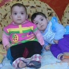 هيثم سعد