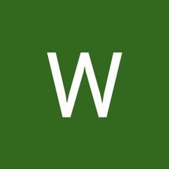 WillyVibes