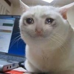 555