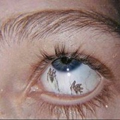 paradoxical specimen