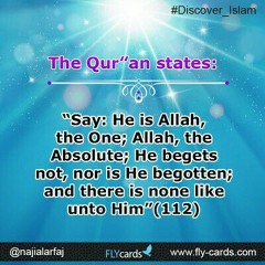 User 278038151